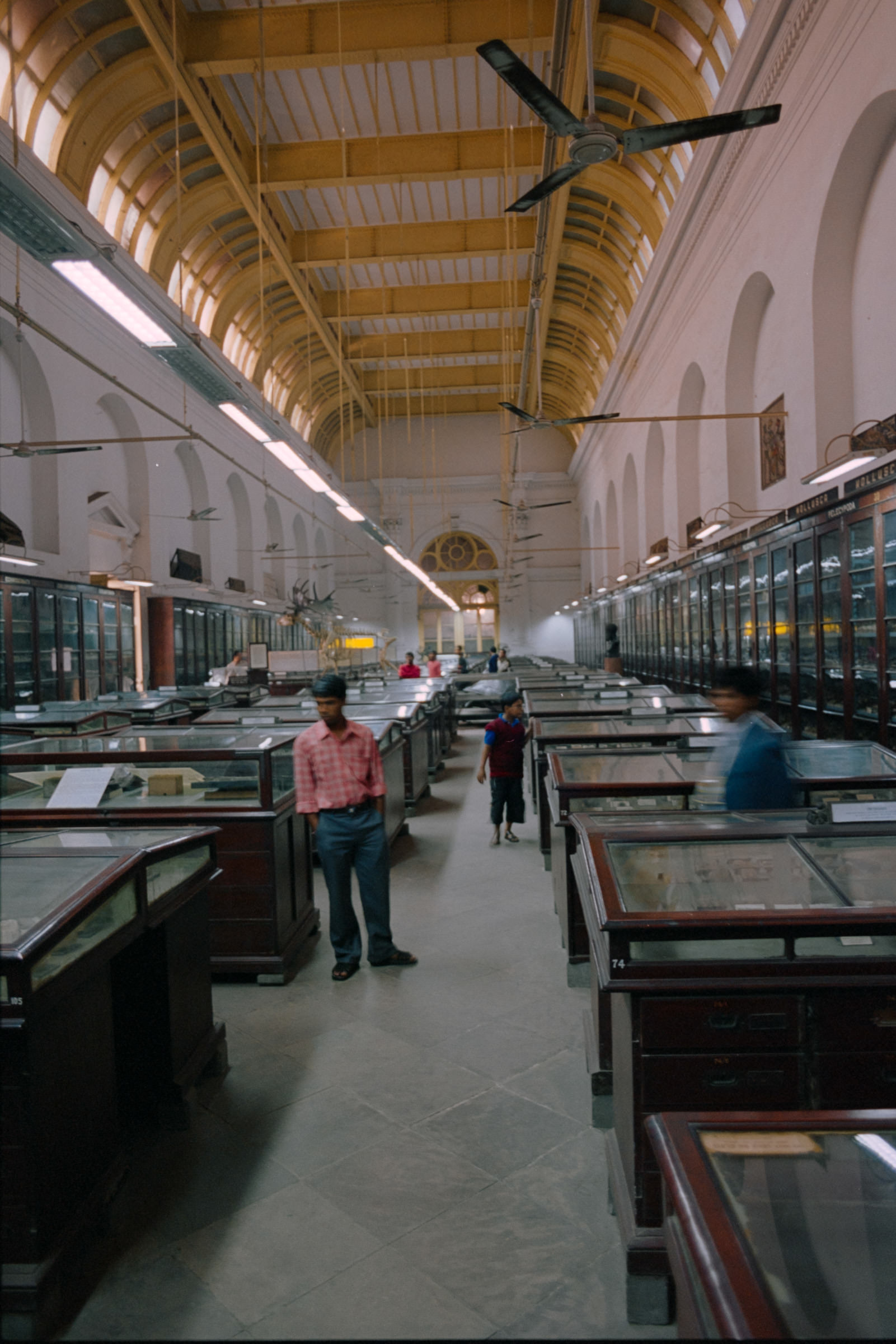 AHP film 2005 01 001 sc240825 img35 NLP